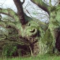 NATURKUNDLICHE FÜHRUNG