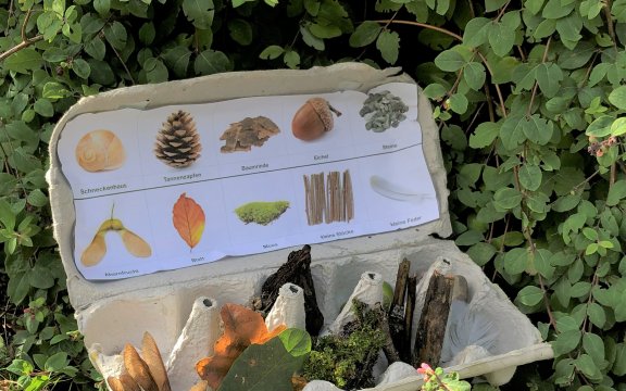 KINDERCLUB AKTION: WALDBINGO-AUF IN DEN WALD!