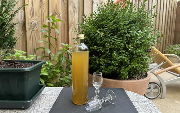 INGWER HONIG LIKÖRHERSTELLUNG