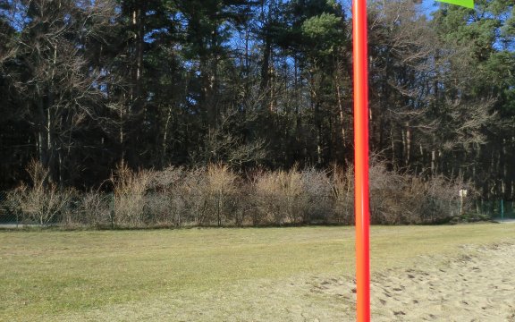 MIX AUS CROSSGOLF & FUSSBALL=BUSCHBALL