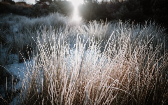 POWERPOINT - VORTRAG "Winter auf Usedom"