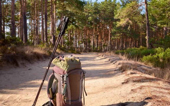 MEIN CASA - WANDERUNG NACH TRASSENHEIDE 4 KM