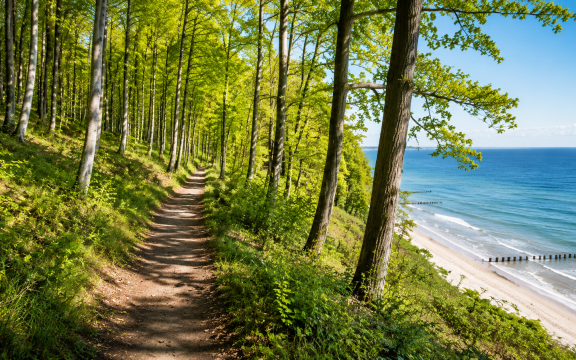 GEFÜHRTE NATUR & KÜSTENWALD WANDERUNG