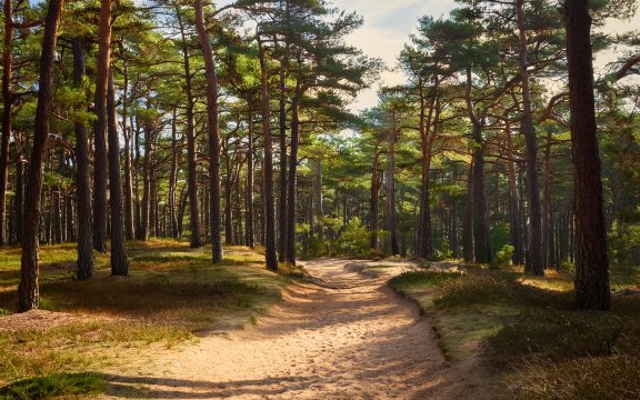 NATURKUNDLICHE FÜHRUNG