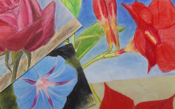PASTELLKREIDE KUNSTWORKSHOP