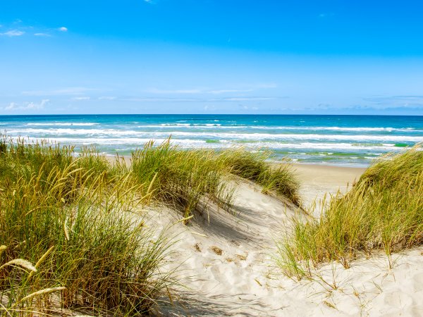 Dünen, Strand und Ostsee