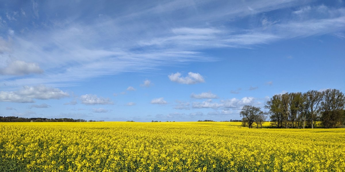 Urlaubsangebot Auf in den Mai im Casa Familia Zinnowitz: 3 Nächte ab 335 Euro
